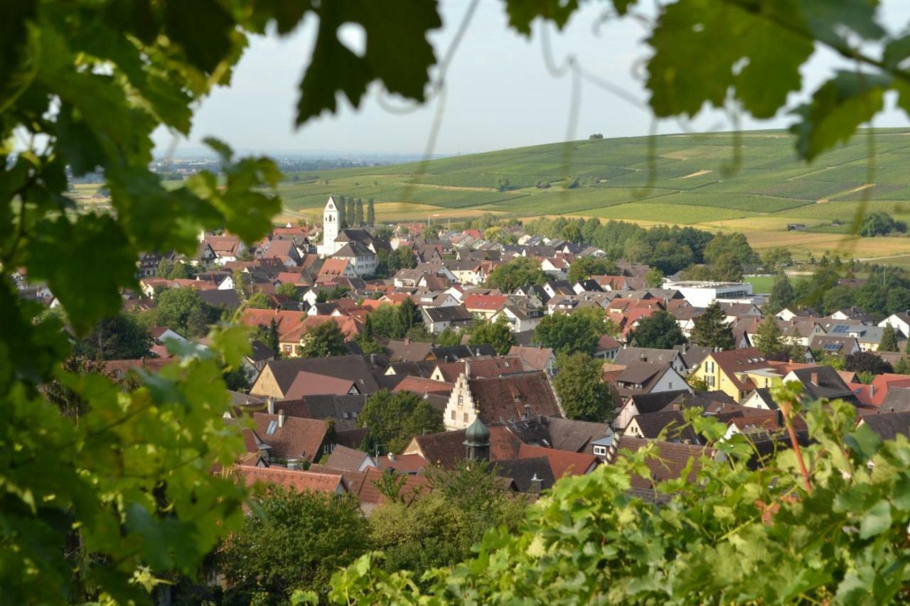 Ferienwohnung Schneckental Pfaffenweiler ภายนอก รูปภาพ